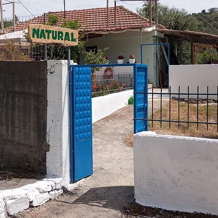 Natural Hostel Himare Ngoại thất bức ảnh