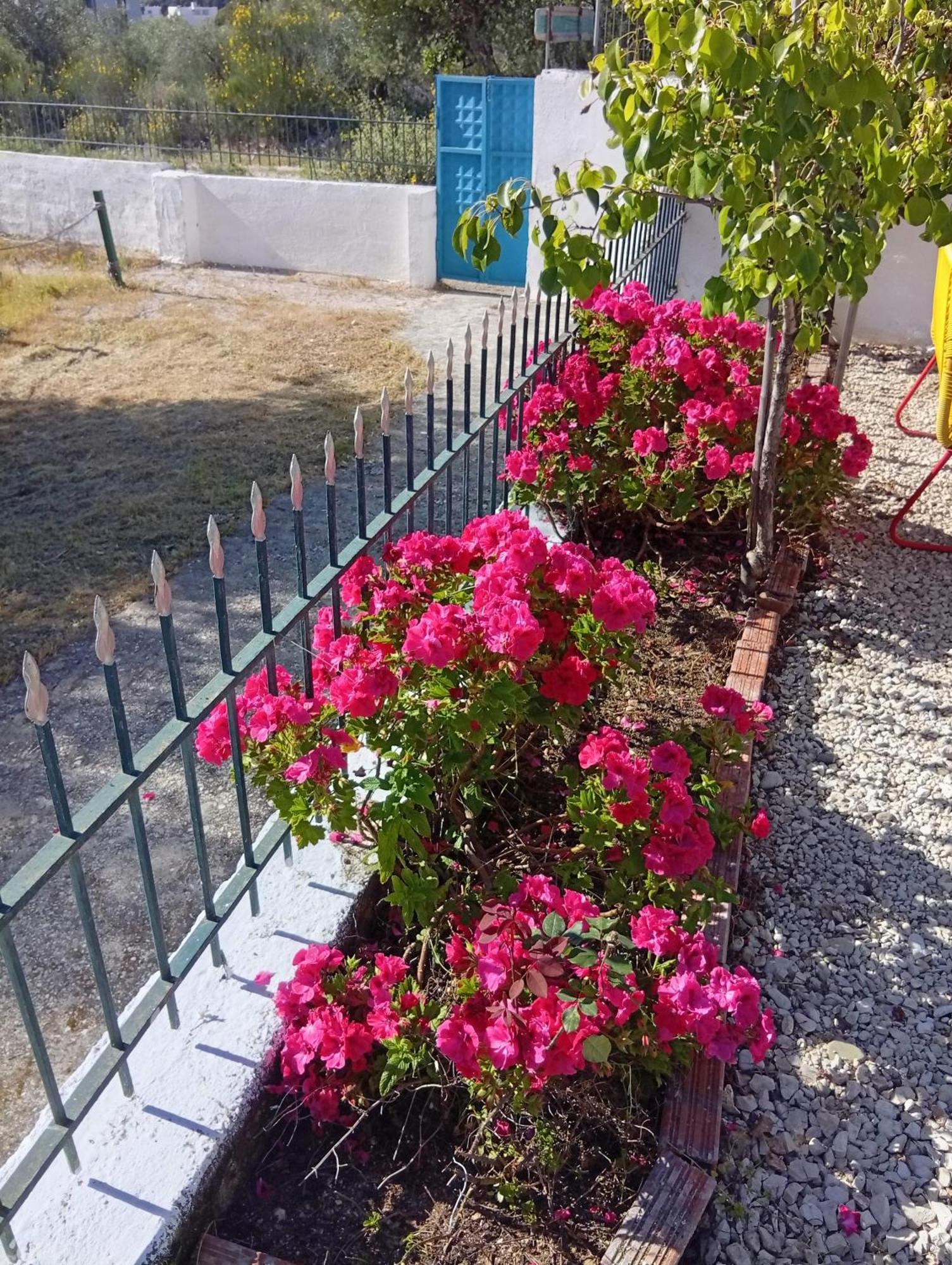 Natural Hostel Himare Ngoại thất bức ảnh